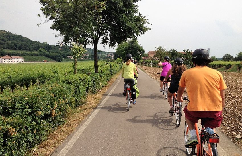Tour en bicicleta eléctrica por el campo de Amarone